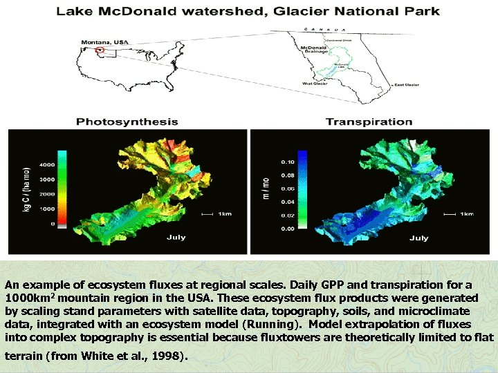 An example of ecosystem fluxes at regional scales. Daily GPP and transpiration for a