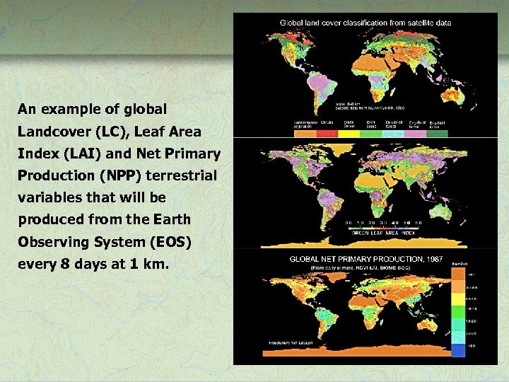 An example of global Landcover (LC), Leaf Area Index (LAI) and Net Primary Production