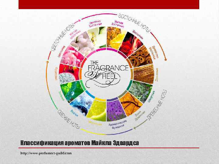 Классификация ароматов Майкла Эдвардса http: //www. perfumers-guild. com 