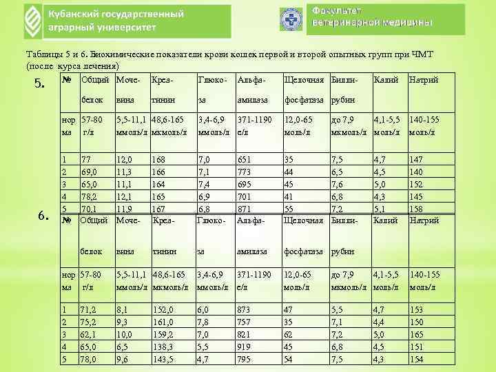 Таблицы 5 и 6. Биохимические показатели крови кошек первой и второй опытных групп при