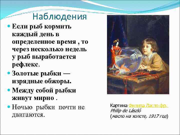 Наблюдения Если рыб кормить каждый день в определенное время , то через несколько недель