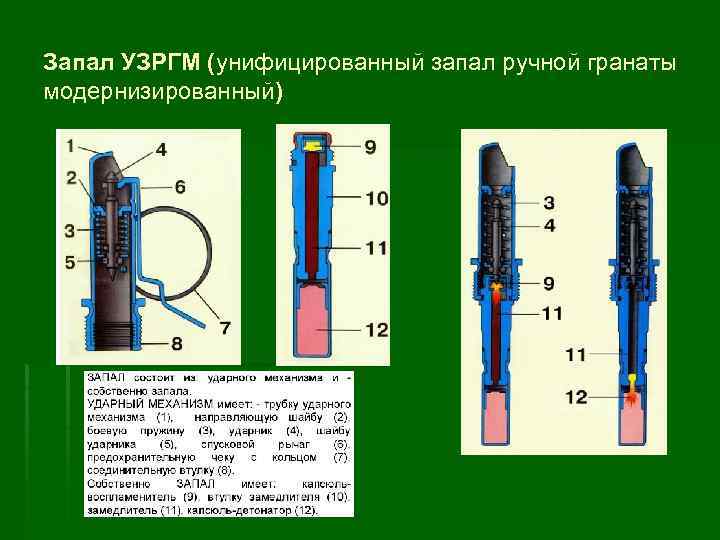 План конспект материальная часть автомата ручных гранат боеприпасы