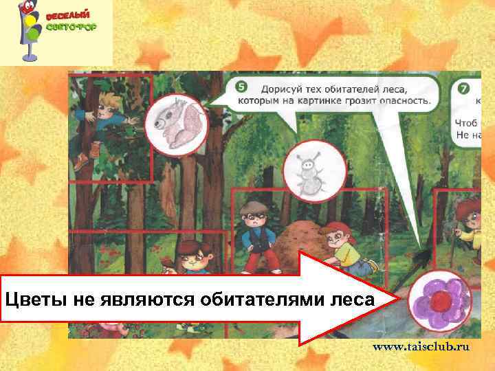 Цветы не являются обитателями леса www. taisclub. ru 