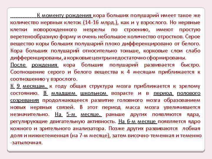 К моменту рождения кора больших полушарий имеет такое же количество нервных клеток (14 -16