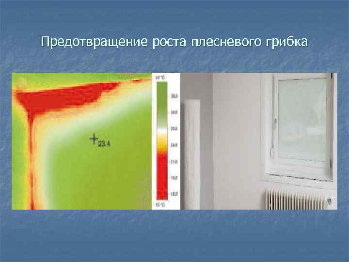 Предотвращение роста плесневого грибка 