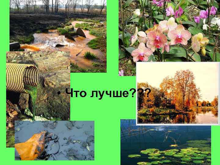  • Что лучше? ? ? 
