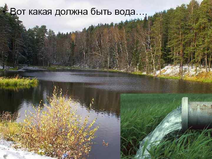  • Вот какая должна быть вода…. 