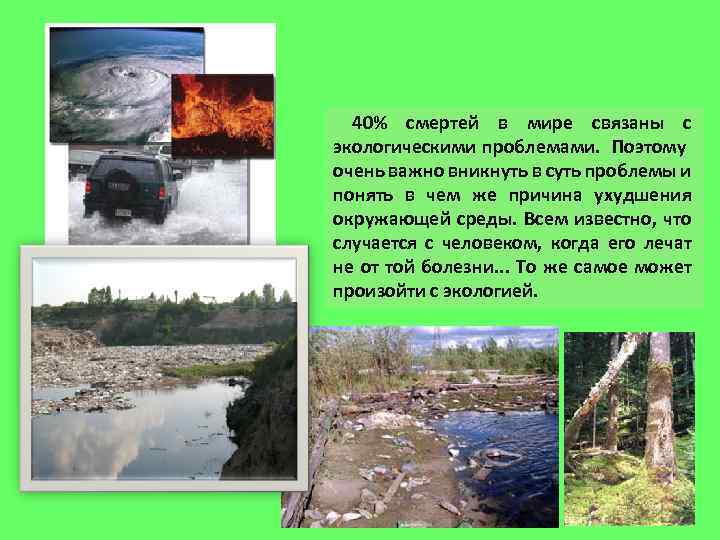 40% смертей в мире связаны с экологическими проблемами. Поэтому очень важно вникнуть в суть