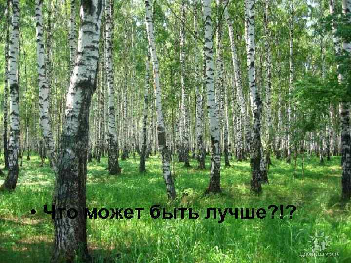  • Что может быть лучше? !? 