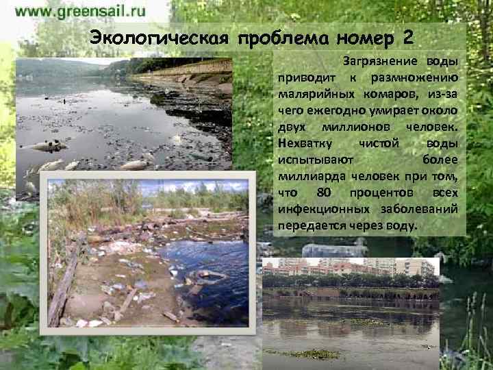 Экологическая проблема номер 2 Загрязнение воды приводит к размножению малярийных комаров, из-за чего ежегодно