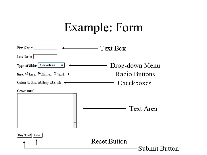 Example: Form Text Box Drop-down Menu Radio Buttons Checkboxes Text Area Reset Button Submit