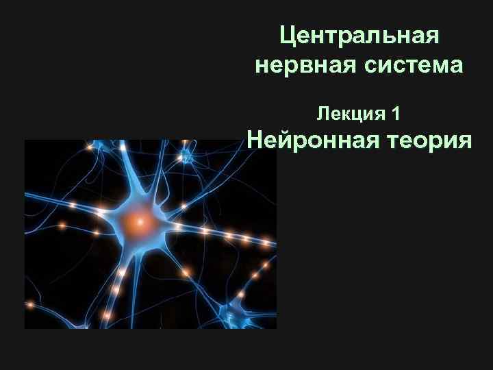 Центральная нервная система Лекция 1 Нейронная теория 