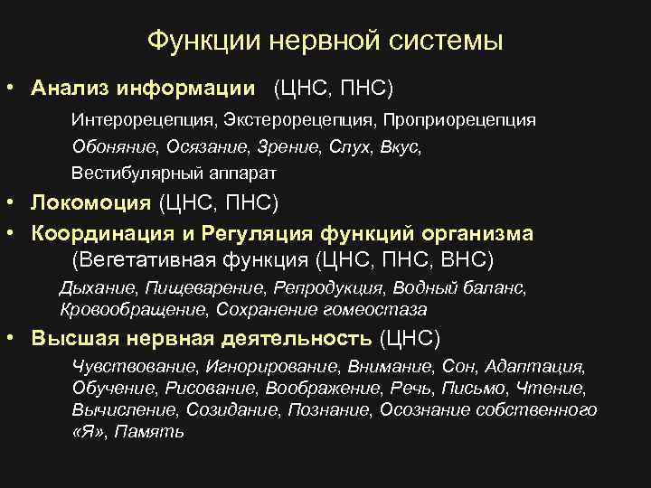 Функции нервной системы • Анализ информации (ЦНС, ПНС) Интерорецепция, Экстерорецепция, Проприорецепция Обоняние, Осязание, Зрение,