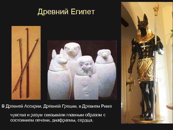 Древний Египет В Древней Ассирии, Древней Греции, в Древнем Риме чувства и разум связывали