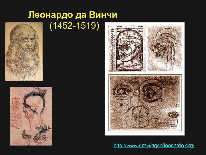 Леонардо да Винчи (1452 -1519) http: //www. drawingsofleonardo. org/ 