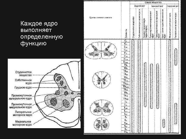 Каждое ядро выполняет определенную функцию 