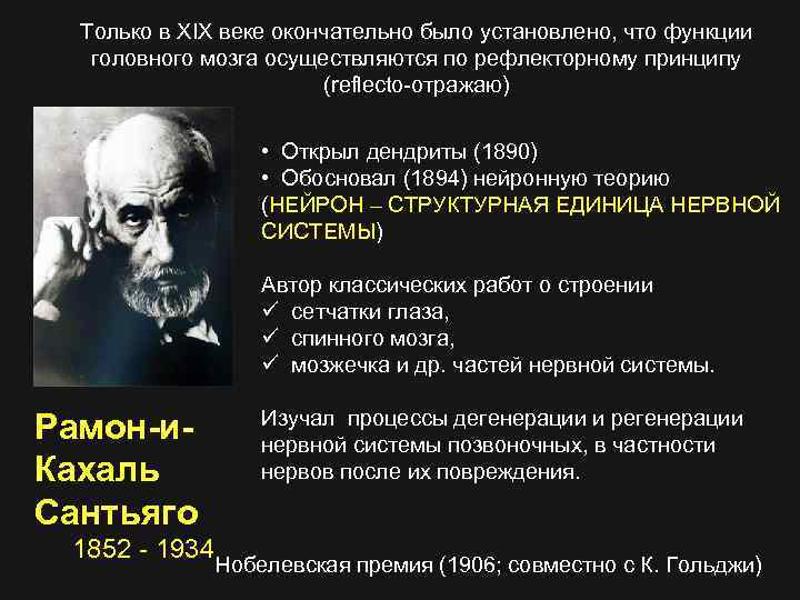 Только в XIX веке окончательно было установлено, что функции головного мозга осуществляются по рефлекторному