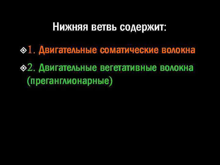 Нижняя ветвь содержит: 1. 2. Двигательные соматические волокна Двигательные вегетативные волокна (преганглионарные) 