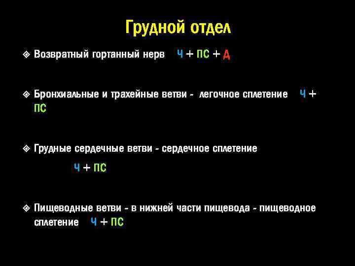 Грудной отдел Возвратный гортанный нерв Ч + ПС + Д Бронхиальные и трахейные ветви