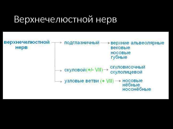 Верхнечелюстной нерв 