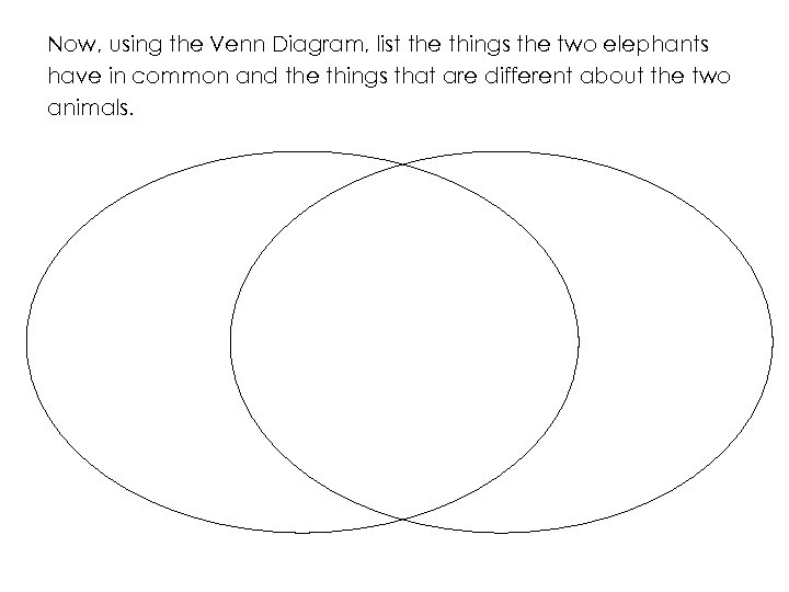 Now, using the Venn Diagram, list the things the two elephants have in common