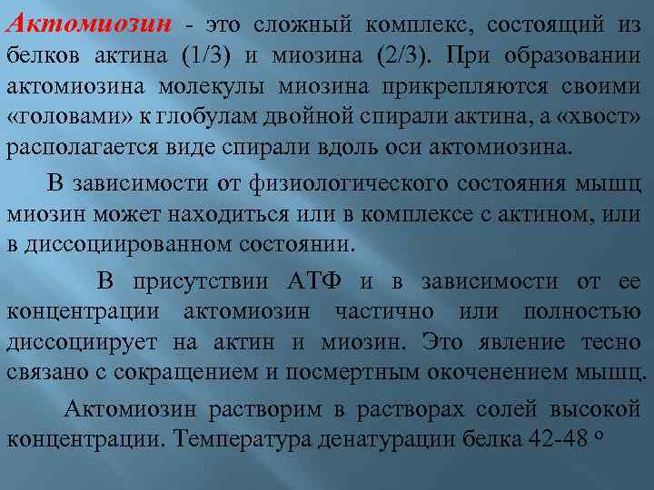 Актомиозин - это сложный комплекс, состоящий из белков актина (1/3) и миозина (2/3). При