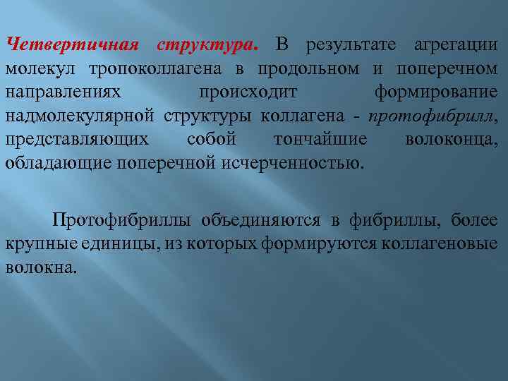 Четвертичная структура. В результате агрегации молекул тропоколлагена в продольном и поперечном направлениях происходит формирование