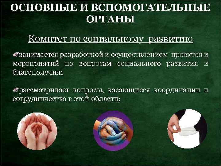 ОСНОВНЫЕ И ВСПОМОГАТЕЛЬНЫЕ ОРГАНЫ Комитет по социальному развитию занимается разработкой и осуществлением проектов и