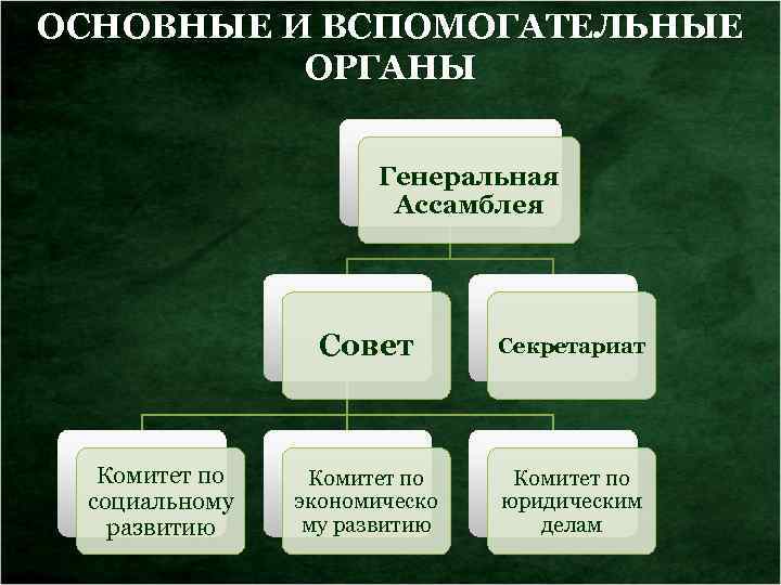 ОСНОВНЫЕ И ВСПОМОГАТЕЛЬНЫЕ ОРГАНЫ Генеральная Ассамблея Совет Комитет по социальному развитию Секретариат Комитет по