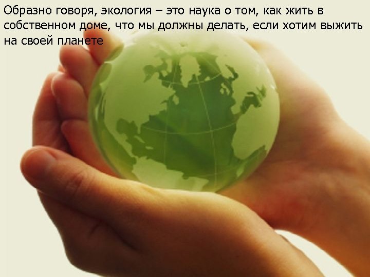 Образно говоря, экология – это наука о том, как жить в собственном доме, что