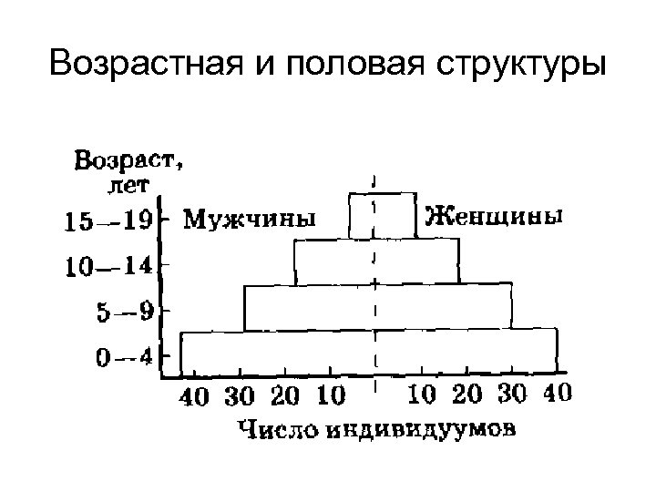 Возрастная и половая структуры 