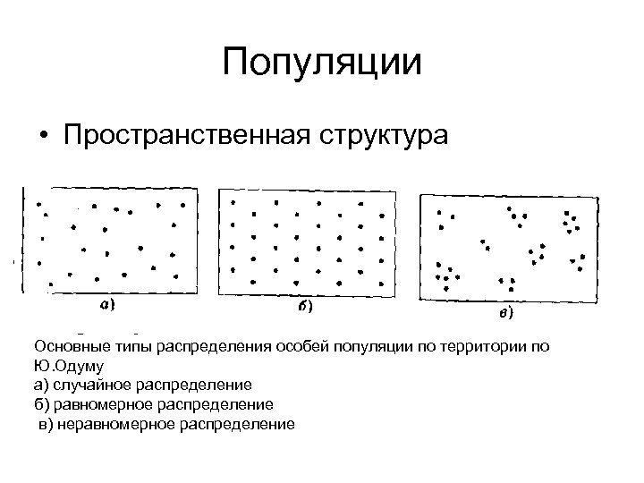 Тип пространственного распределения особей популяции представленный на рисунке характеризуется как