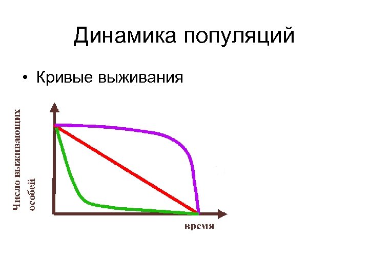 Динамика популяций • Кривые выживания 
