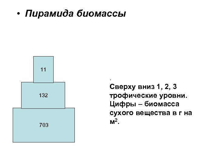 Почему пирамиды численности и биомассы