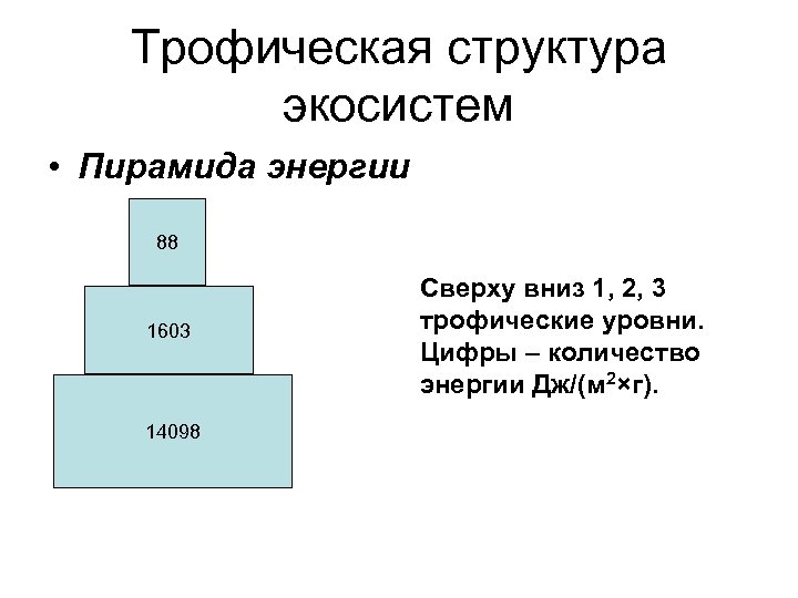 Трофические уровни пирамиды энергии