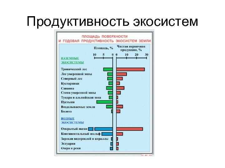 Продуктивность это. Первичная продукция экосистемы. Продуктивность экосистем. Высокопродуктивные экосистемы. Оценка продуктивности экосистемы.