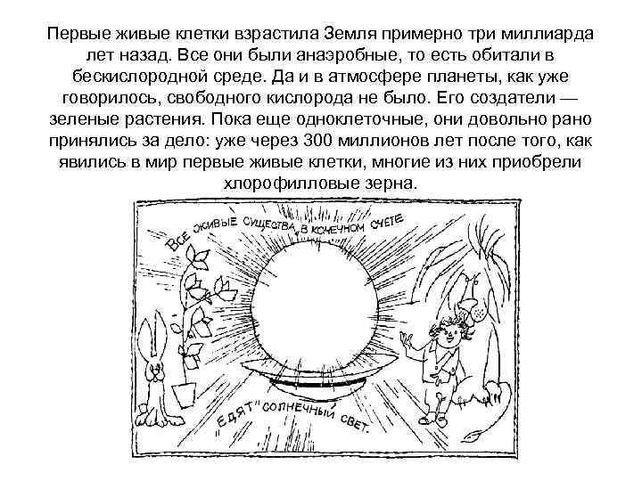 Первые живые клетки взрастила Земля примерно три миллиарда лет назад. Все они были анаэробные,