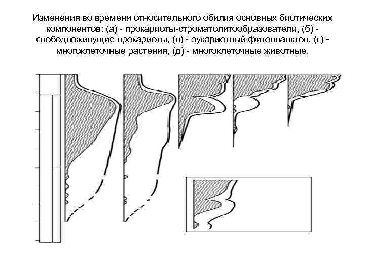 Изменения во времени относительного обилия основных биотических компонентов: (а) - прокариоты-строматолитообразователи, (б) - свободноживущие
