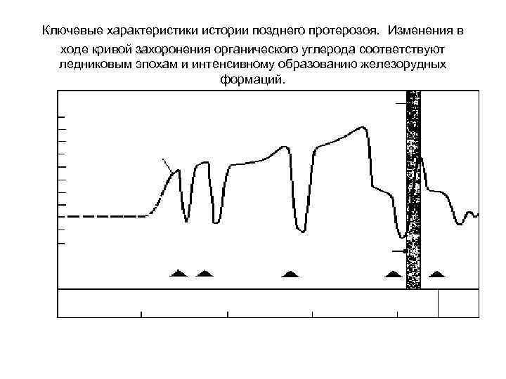  Ключевые характеристики истории позднего протерозоя. Изменения в ходе кривой захоронения органического углерода соответствуют