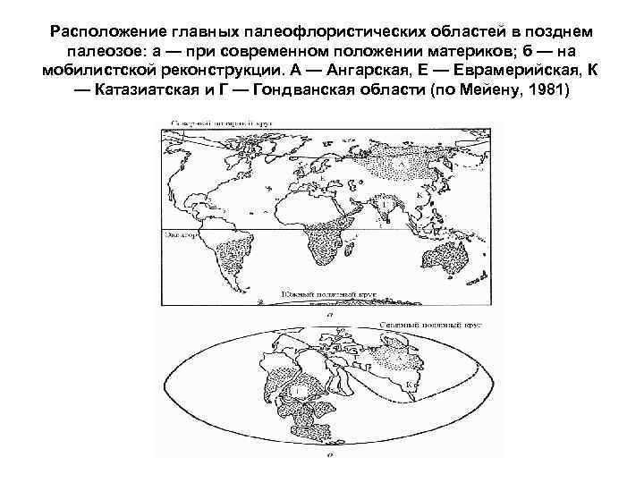 Расположение главных палеофлористических областей в позднем палеозое: а — при современном положении материков; б