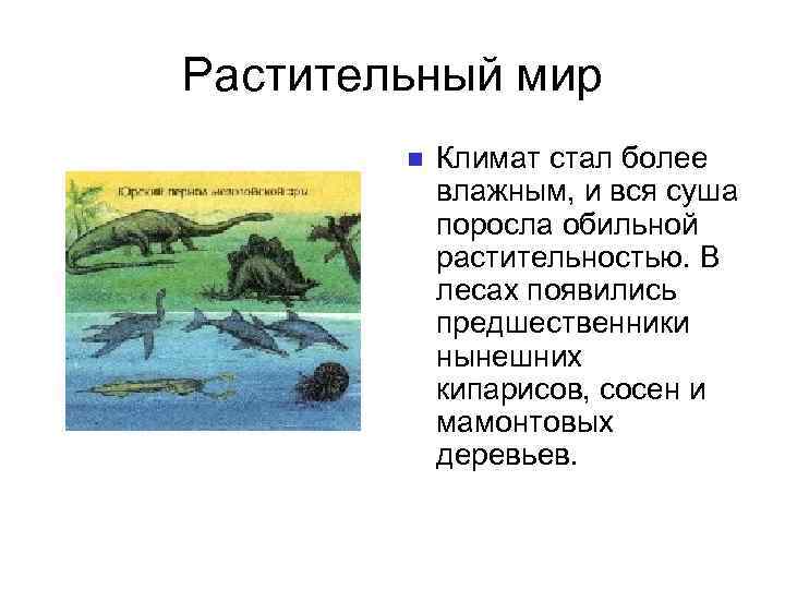 Растительный мир Климат стал более влажным, и вся суша поросла обильной растительностью. В лесах