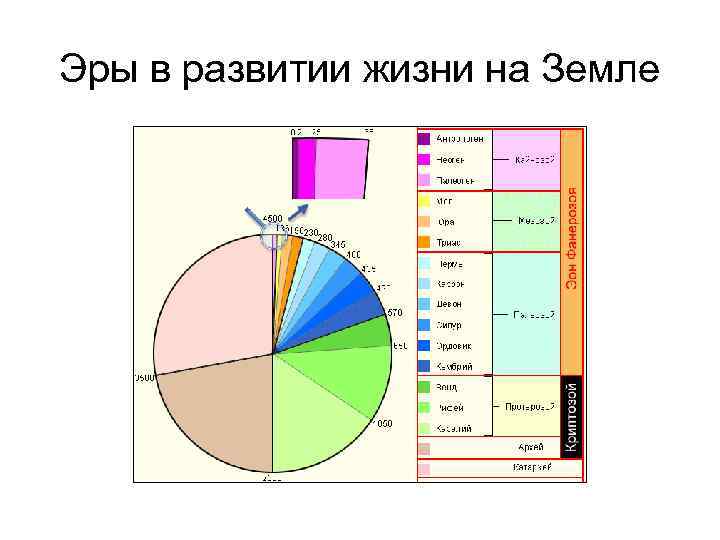 Эры в развитии жизни на Земле 