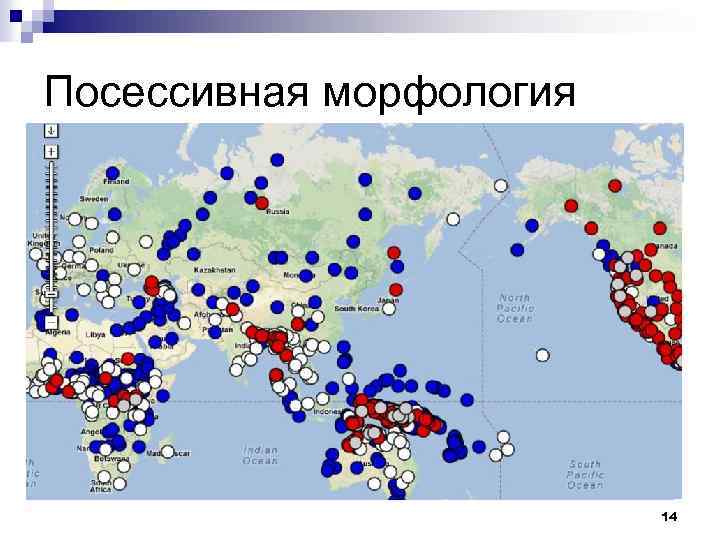 Посессивная морфология 14 