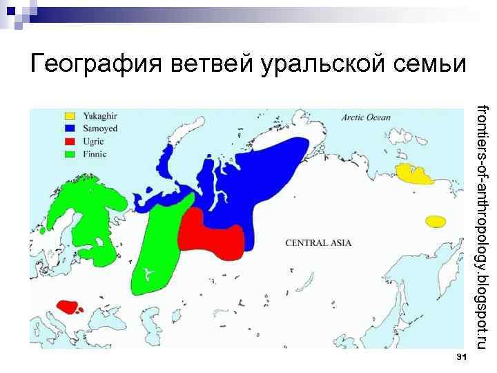 География ветвей уральской семьи frontiers-of-anthropology. blogspot. ru 31 