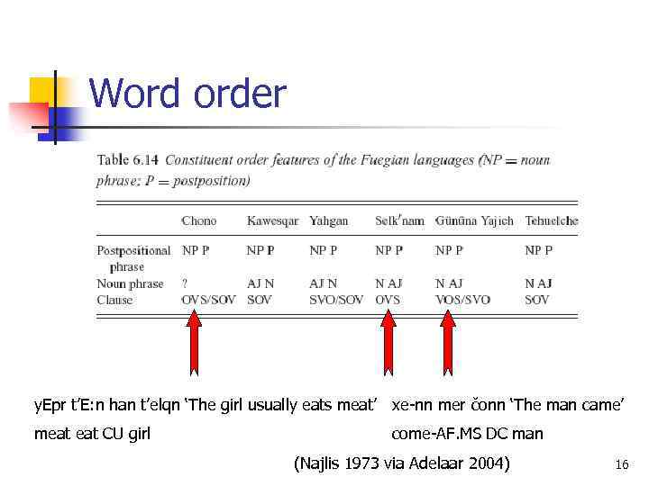 Word order y. Epr t’E: n han t’elqn ‘The girl usually eats meat’ xe-nn