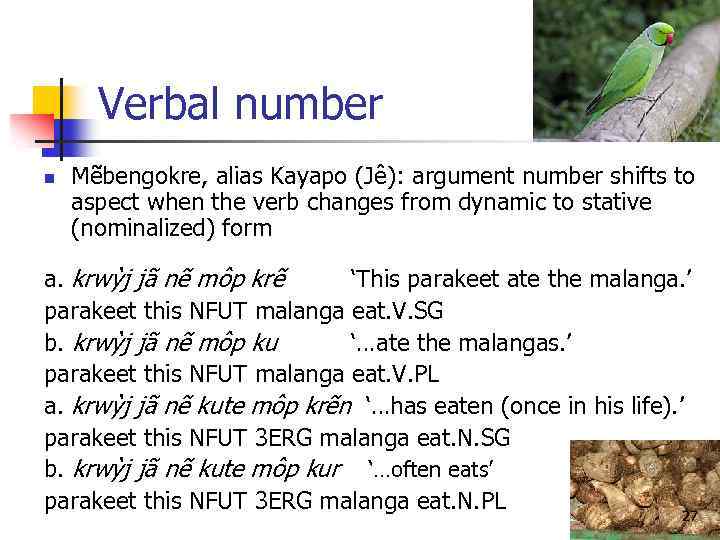 Verbal number n Mẽbengokre, alias Kayapo (Jê): argument number shifts to aspect when the