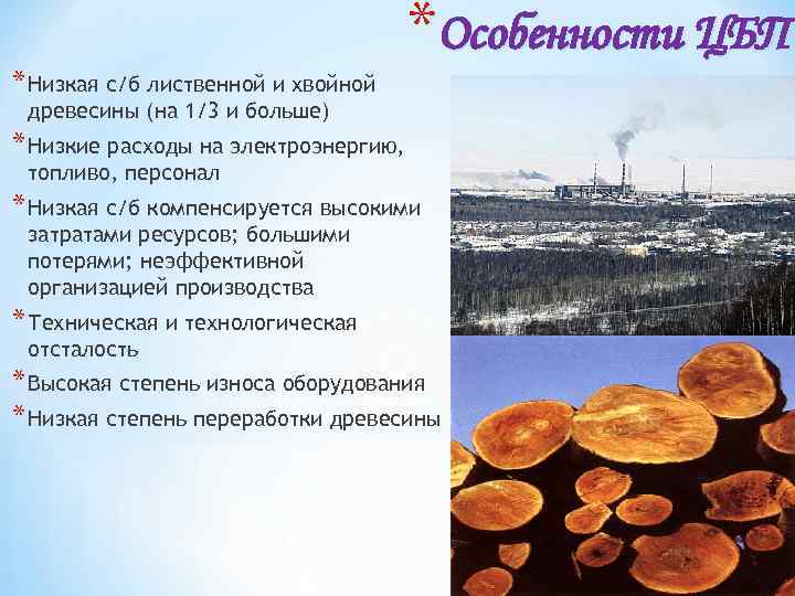 * Низкая с/б лиственной и хвойной *Особенности ЦБП древесины (на 1/3 и больше) *