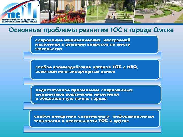 Презентация тос в сельском поселении