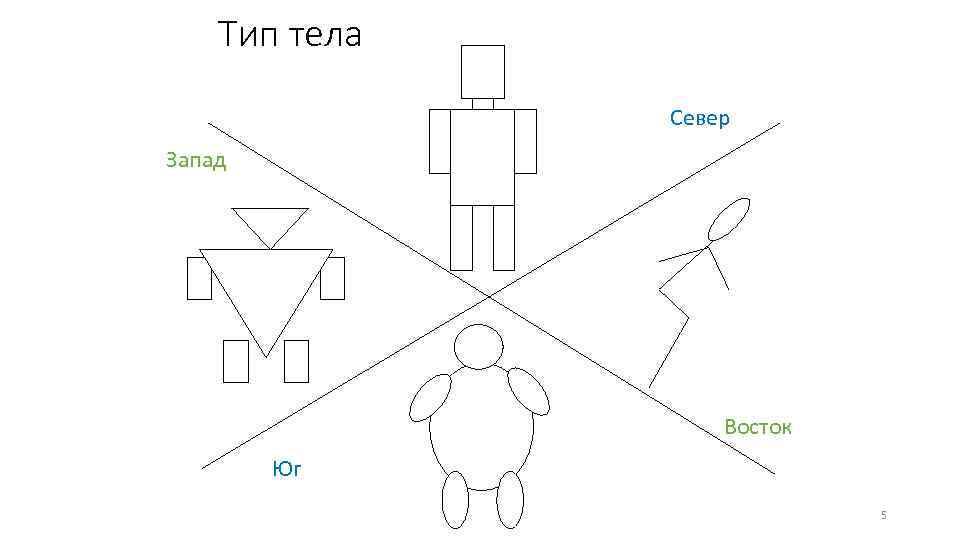 Тип тела Север Запад Восток Юг 5 