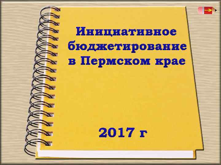 Инициативное бюджетирование в Пермском крае 2017 г 